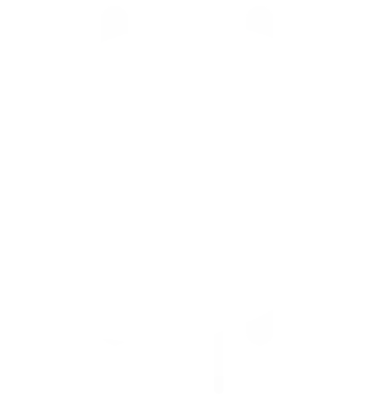 dpw-icon-cable