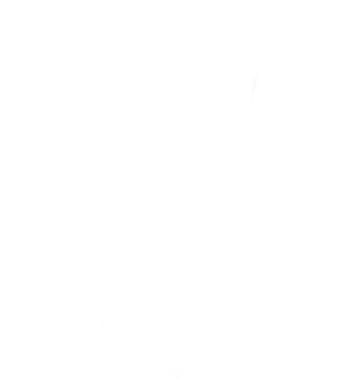 dpw-icon-wire